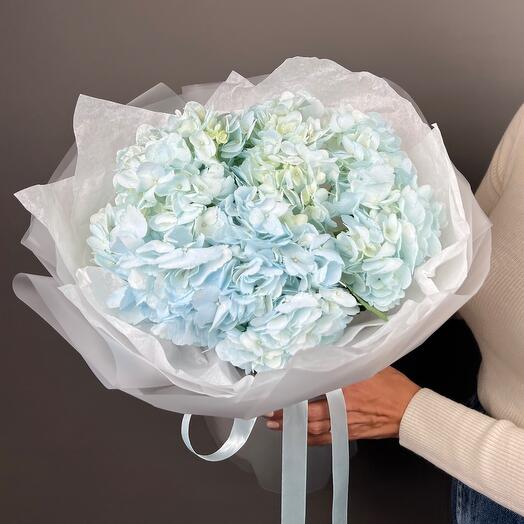 Blue hydrangeas