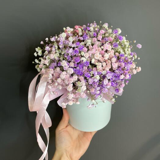 Gypsophila en la Caja del sombrero 1
