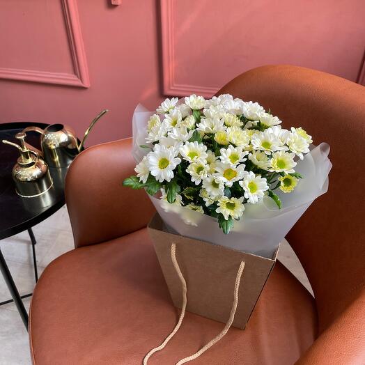 Santini daisies in a box