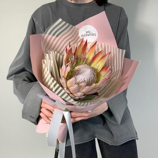 Royal Protea by XO FLOWERS