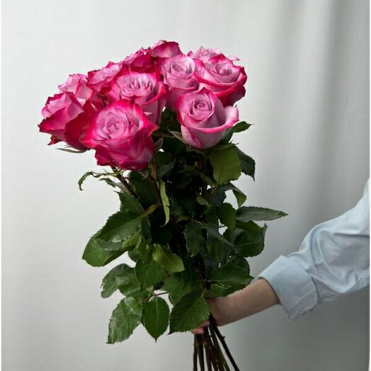 Діп перпл 11