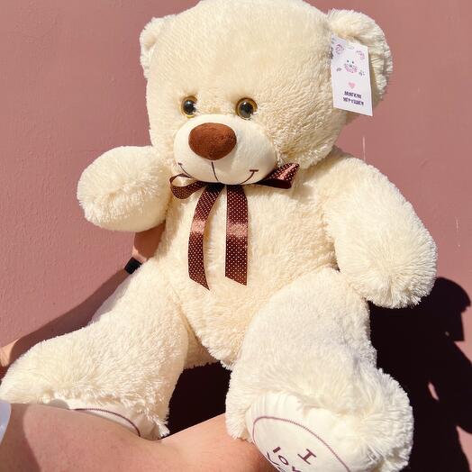 Spbbear