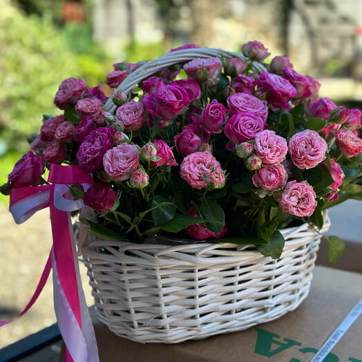 Pink basket