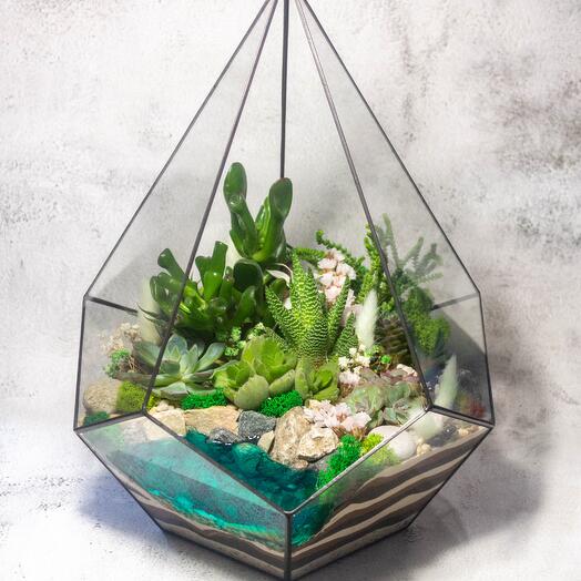 Флорариум XL. Капля