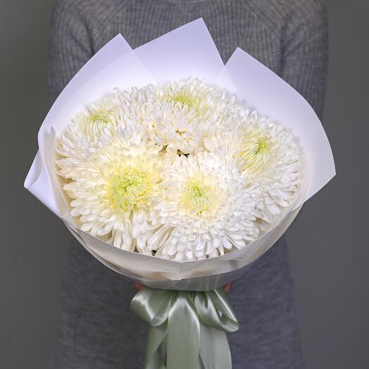 5 белых хризантем