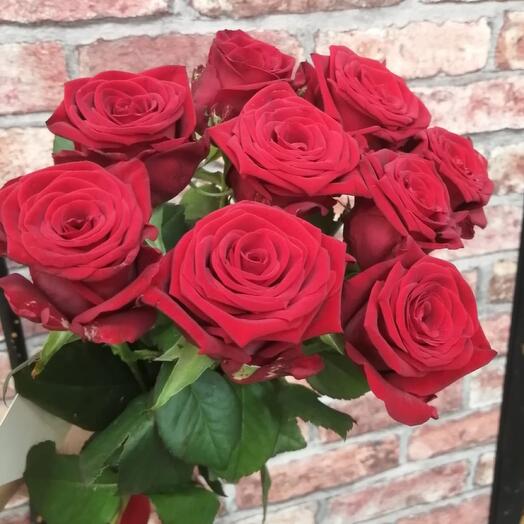Rose Red Naomi 9 pcs