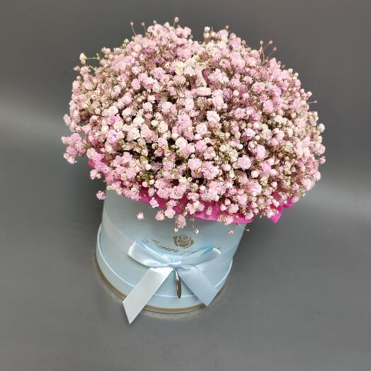 Коробка с гипсофилой