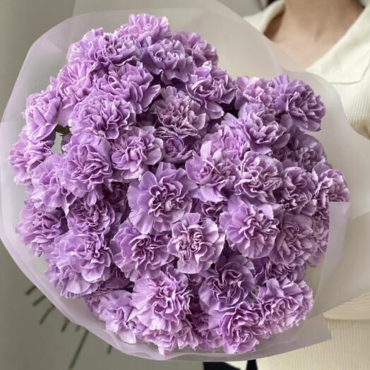Гвоздики LILAC