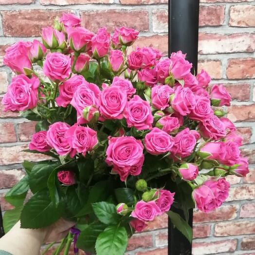 Bush rose Lovely Lydia