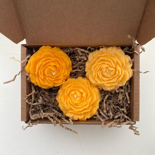 Набор из 3 свечей разных оттенков