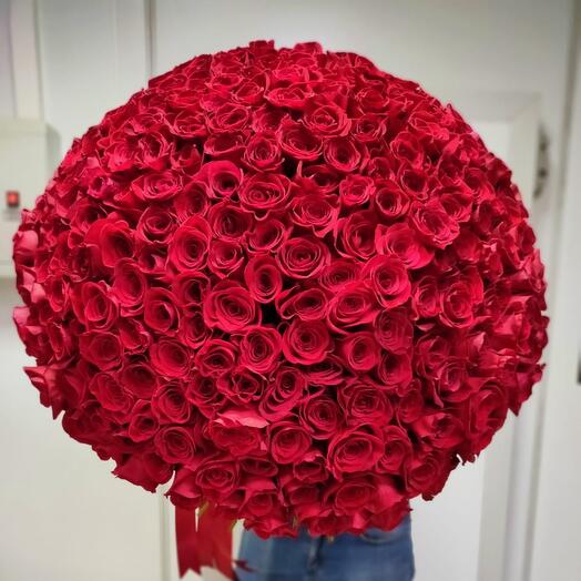 Букет из 301 розы