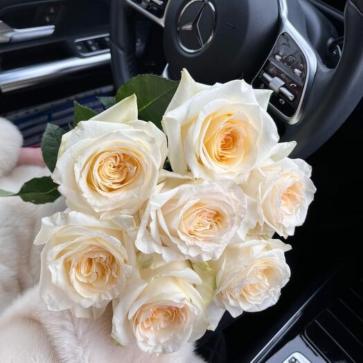 7 rosas blancas en forma de peonía con cinta
