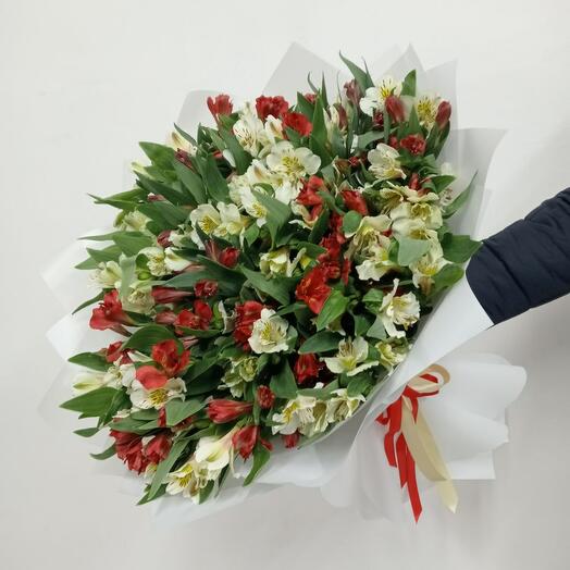 Большой букет из 35 красных и белых альстромерий