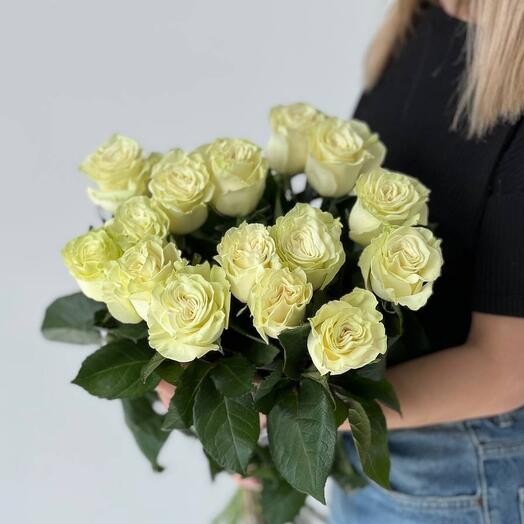 Розы Мондиал 15 штук