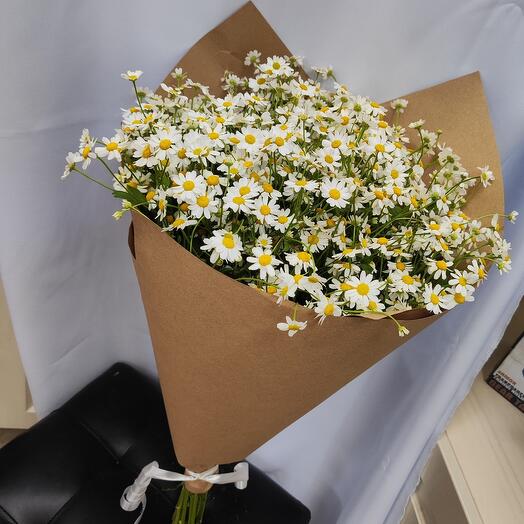 Daisies