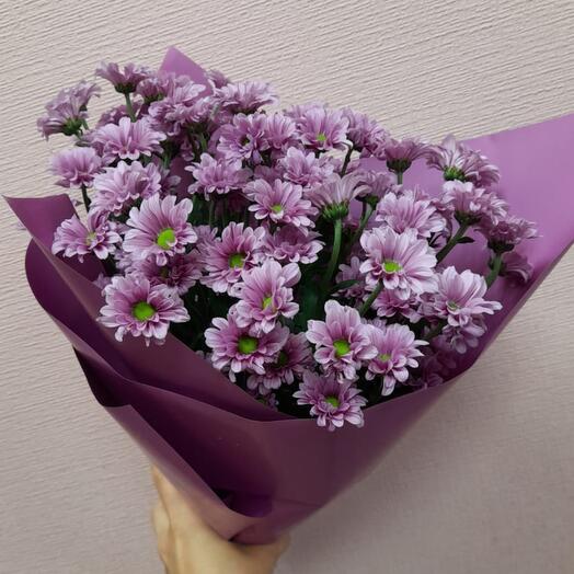 Bouquet of chrysanthemum Santini