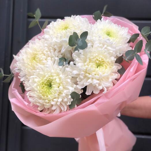 Хризантемы