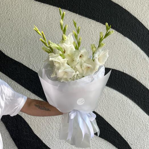 Gladiolus