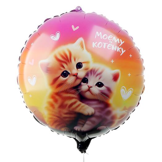 Моему котёнку шар с гелием 🫶