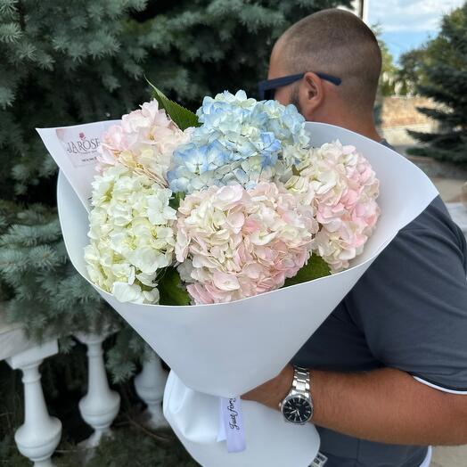 Ramo de 5 hortensias