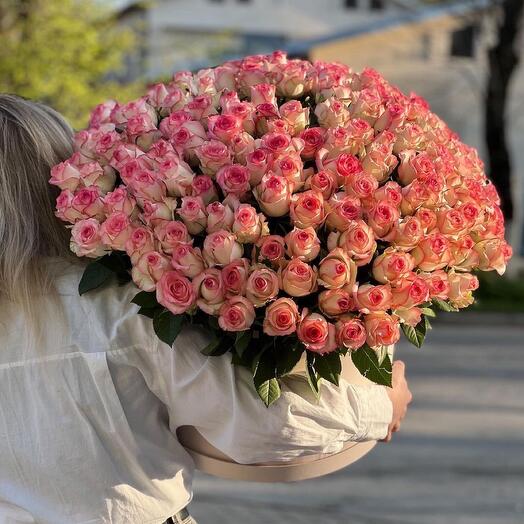 201 Pink rose in box