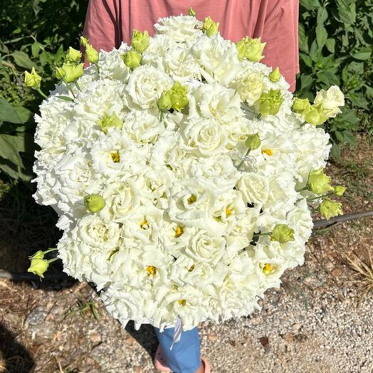 White lisianthus in box