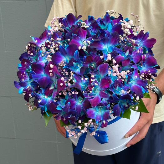 Синий 💙 дендробиум в коробке