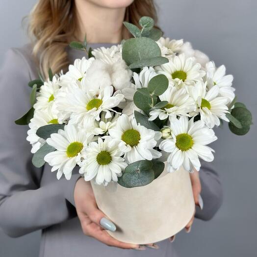 Композиция с кустовой ромашковидной хризантемой, эвкалиптом и хлопком в бархатной коробке