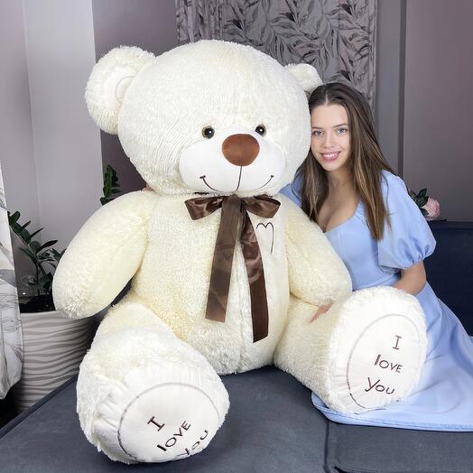 Stuffed toy teddy bear Alex 200cm