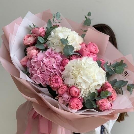 Hydrangea peony