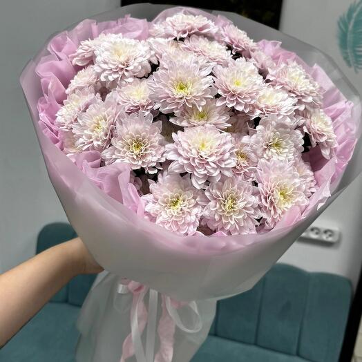 Нежное большое облако стойких хризантем