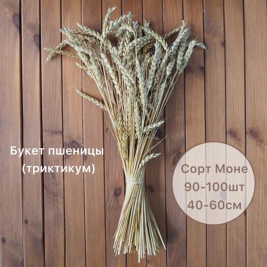 Букет пшеница "Монэ"