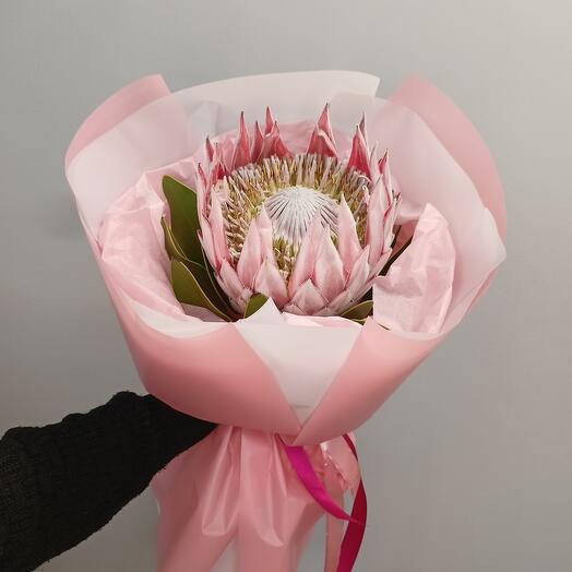 Стойкий букет-комплимент из королевской протеи