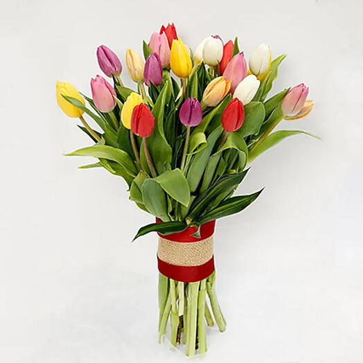 Tulip Radiance: 25 Vibrant Blooms, Nature s Beauty