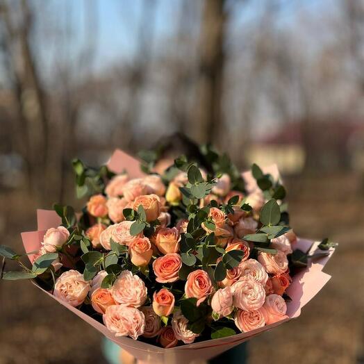 Mezcla de rosas arbustivas