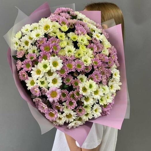 19 Сантини микс