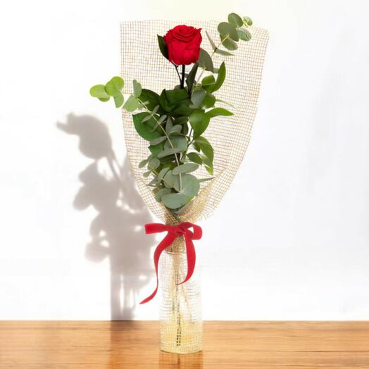 Rosa preservada roja