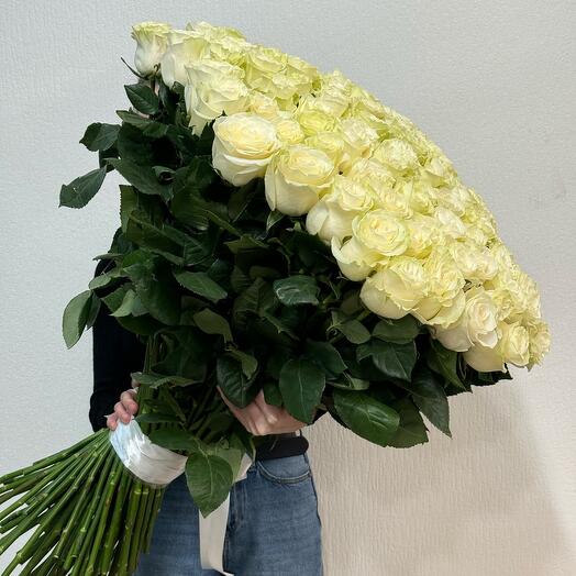 101 Роза Голландия
