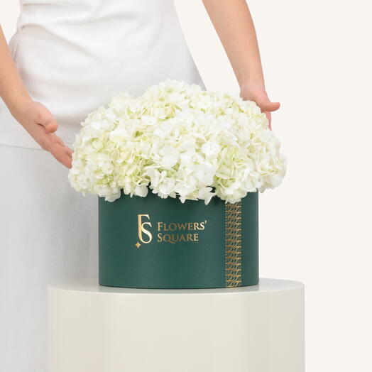 White Hydrangea Box Large