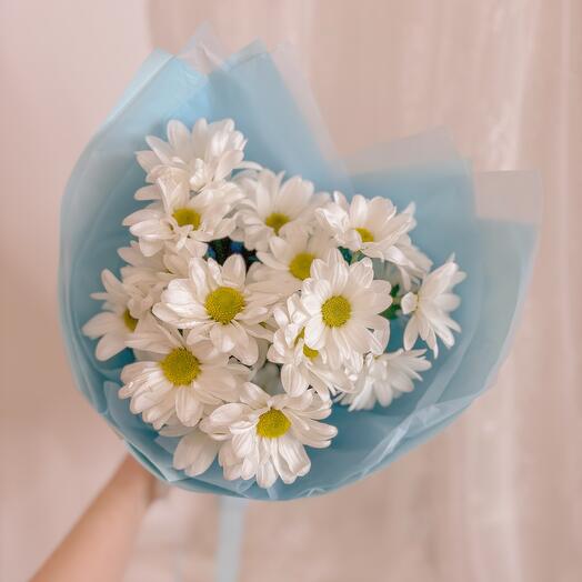 Букет из 3 ромашковых хризантем in blue
