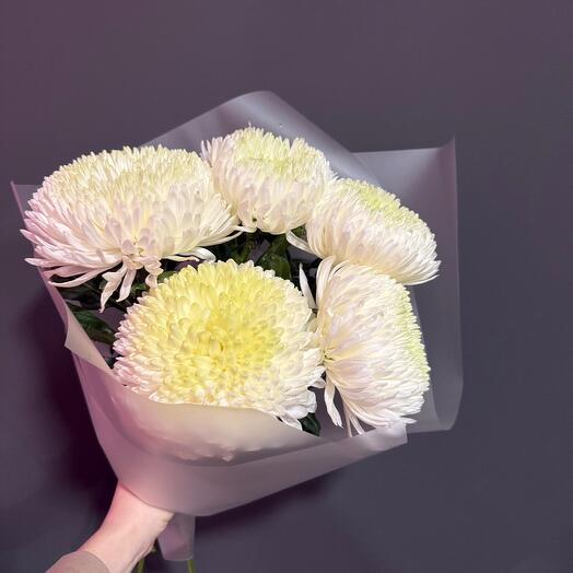 Моно из одноголовых хризантем