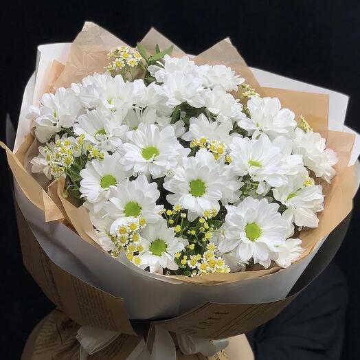 Romashka Bouquet N-087