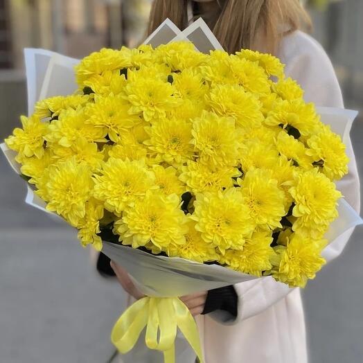 Жёлтые хризантемы