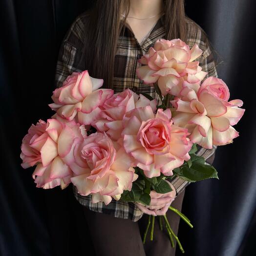 Нежные розы 7 штук перевязанные лентой