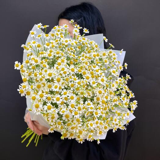 Букет из кустовых Ромашек (Танацетум) 15шт