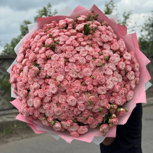 75 Кустовых Пионовидных Роз 💚