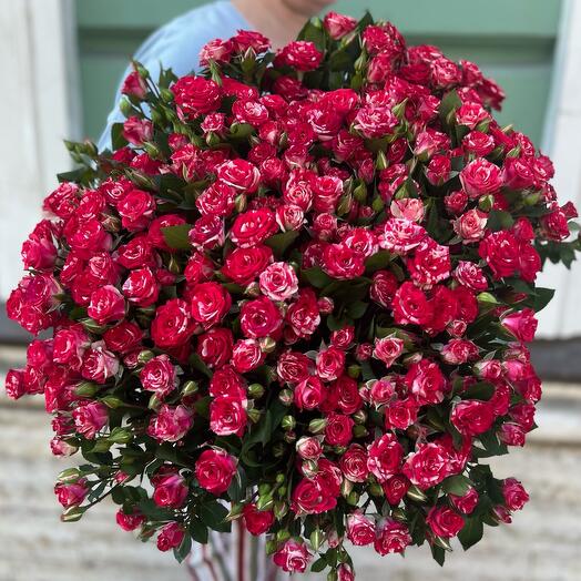 35 кустовых розы / букет яркая кустовая Роза большой ( моно 225)