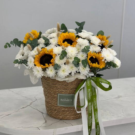 Солнечный комплимент