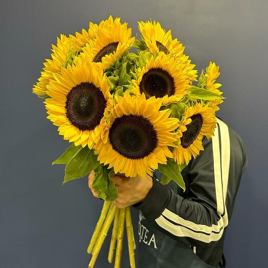 PROTEA