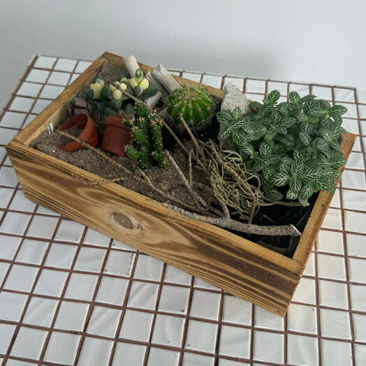 Мини-сад в ящике